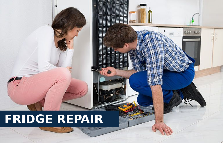 Fridge Repair Hampton Hill